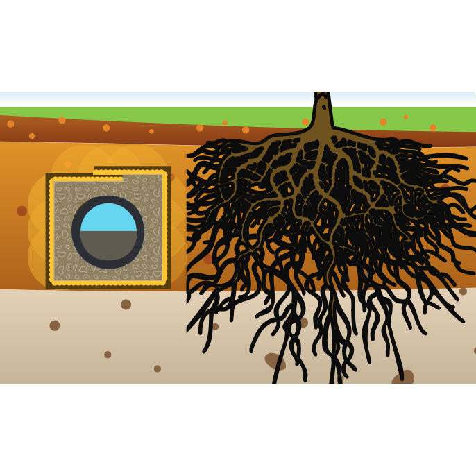 Septic System Root Barrier