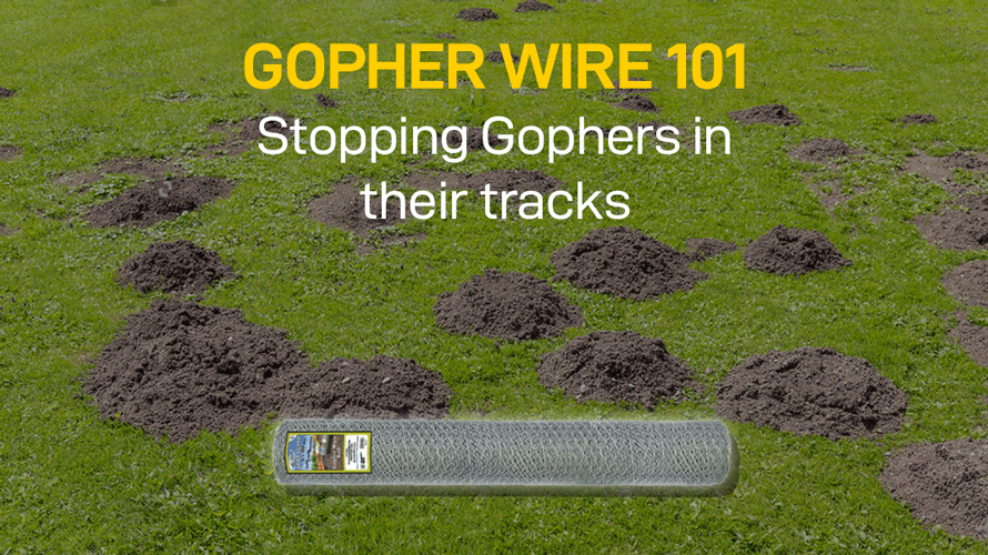 Gopher Wire 101: How It Works and Why It’s So Popular — Mainline Materials