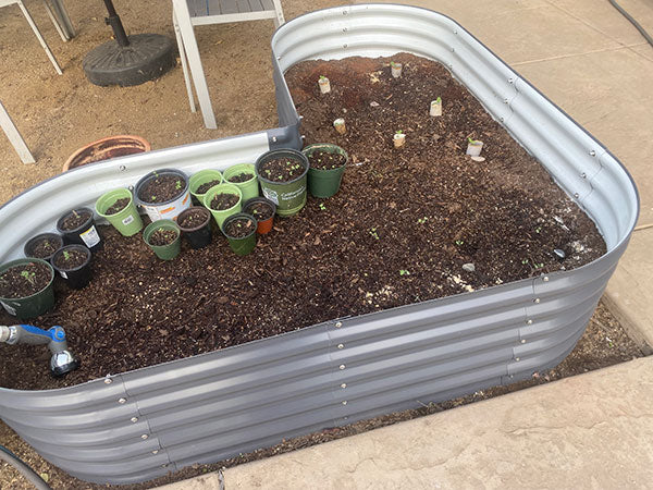Gopher Wire Barrier