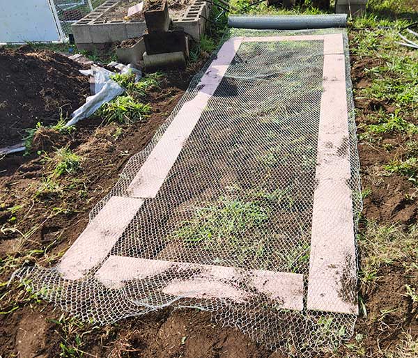 Underground Gopher Barrier