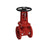 Febco - OSY-GV 2 1/2 - Part of the RP-Gate Valves Series