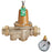 Watts LF25AUB-DU-GG-Z3 1/2 - Part of the LF25AUB-Z3 Series