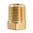 Watts AD1 - Part of the FLT Thread Adaptors Series