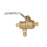 Watts 3/4 LFBRVM1PXPXC-125 - Part of the LFBRVM1 Series