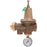 Watts LF25AUB-GG-LP-Z3 1 1/2 - Part of the LF25AUB-Z3 Series