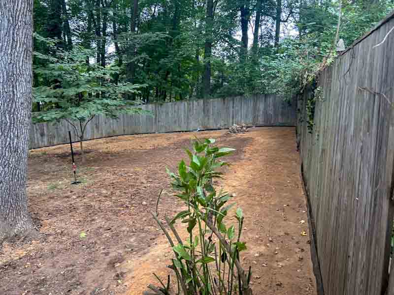 Root Barriers for Mature Trees