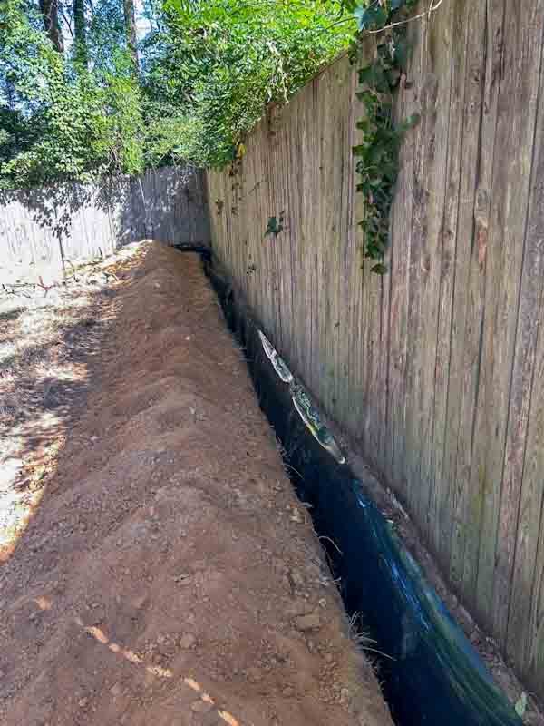 English Ivy Root Barrier