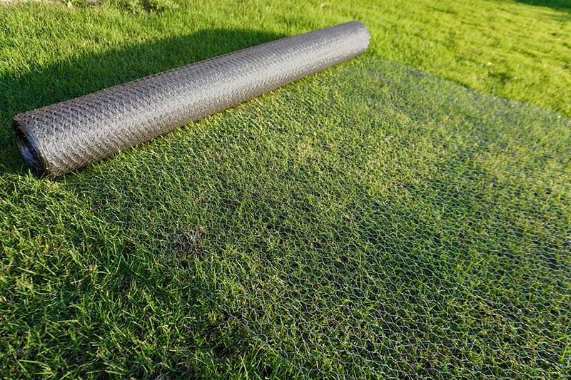 Stainless Steel Raised Bed Gopher Mesh – Epic Gardening
