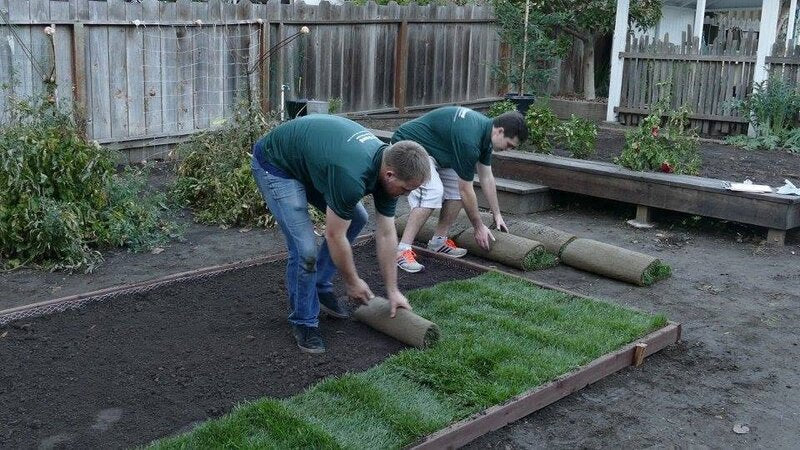 rolling sod on gopher wire