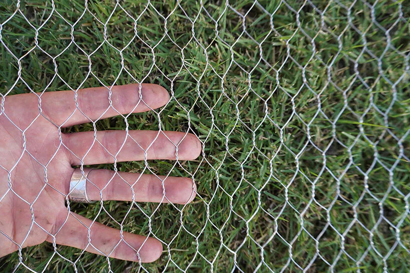 Electroplated Steel Chicken Wire