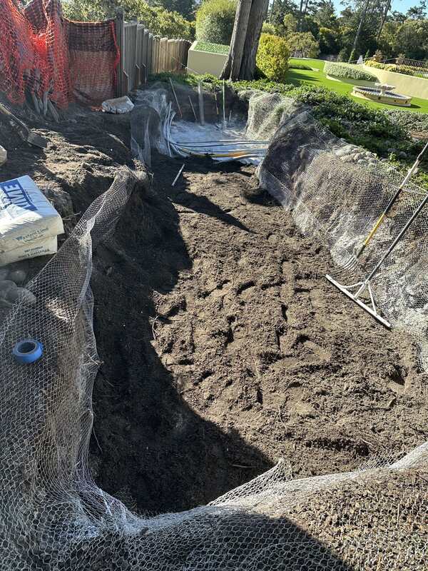 Galvanized gopher wire mesh installed as an underground barrier lining a garden bed

