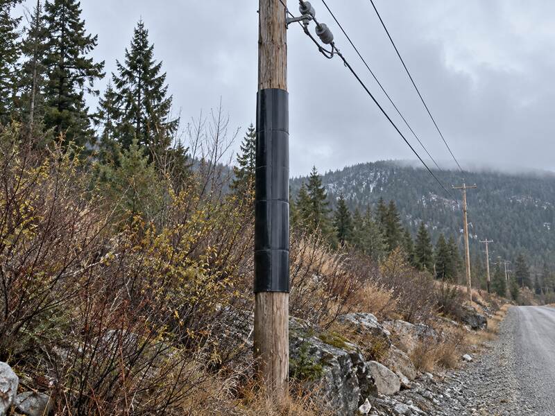 Power Pole Squirrel Guard