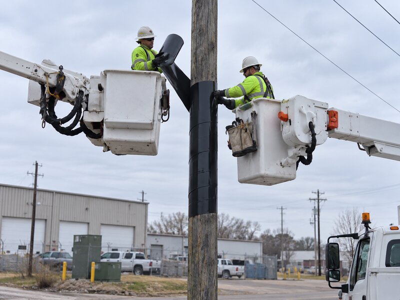 Power Pole Squirrel Guard