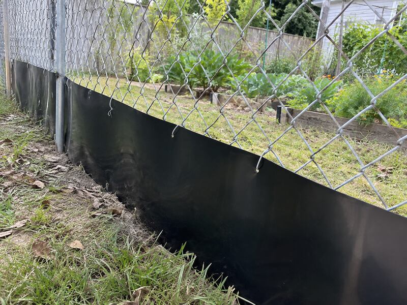 HDPE dig barrier along a chain link fence bordering raised garden beds
