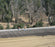 Stratagrid 200 Geogrid - 12' x 225' Roll