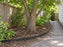 Tree Root Barrier Along Side of House