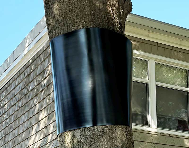 thumbnail image 2 of Stokes Select Squirrel-X 38023 Squirrel Baffle, Wrap-Around, Steel, Dark Green, Powder-Coated 2 of 13