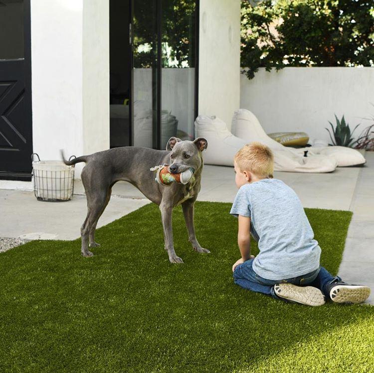 K9Grass Lite Artificial Grass for Dogs