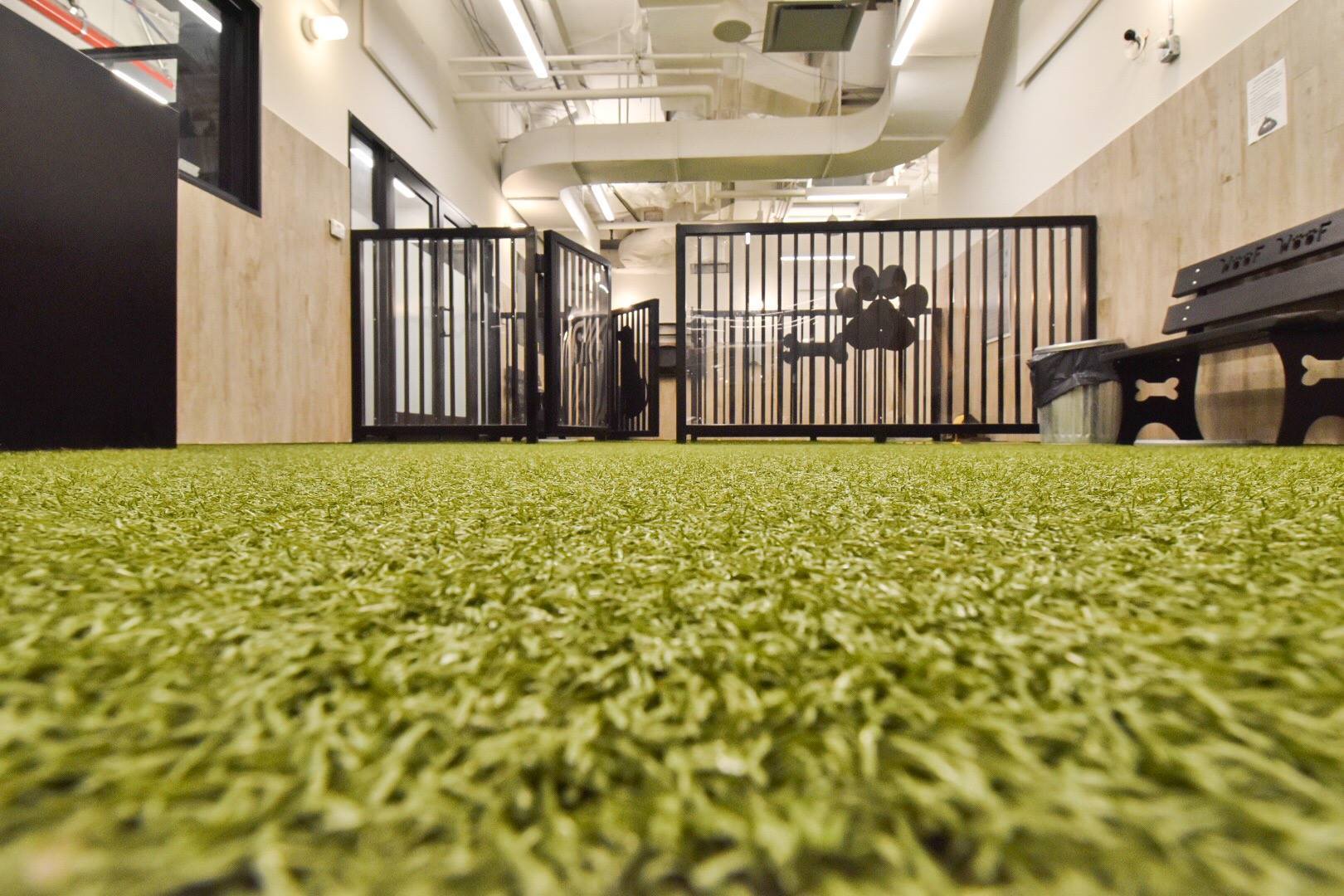 K9Grass Lite Artificial Grass for Dogs