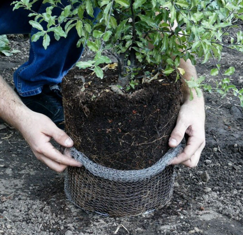 Gopher Basket Standard Grade 1 Gallon Size Case (144 Baskets