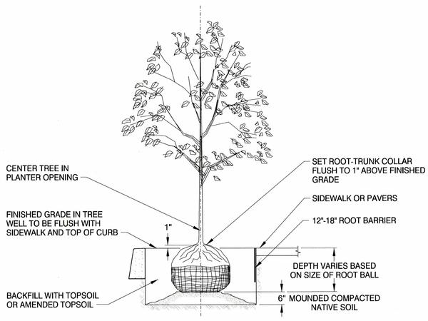 Vertical Root Barrier Panels