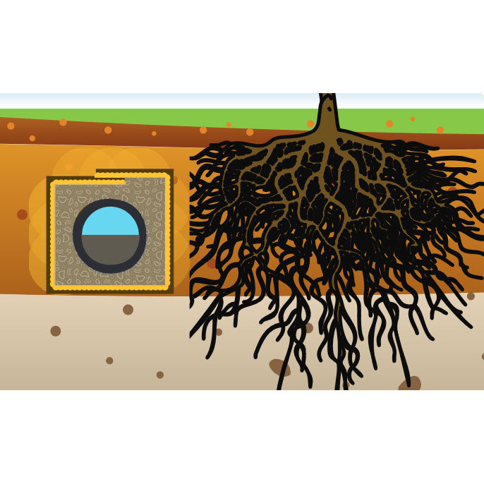 Products to Prevent Tree Roots in Septic Drain Fields β Mainline Materials