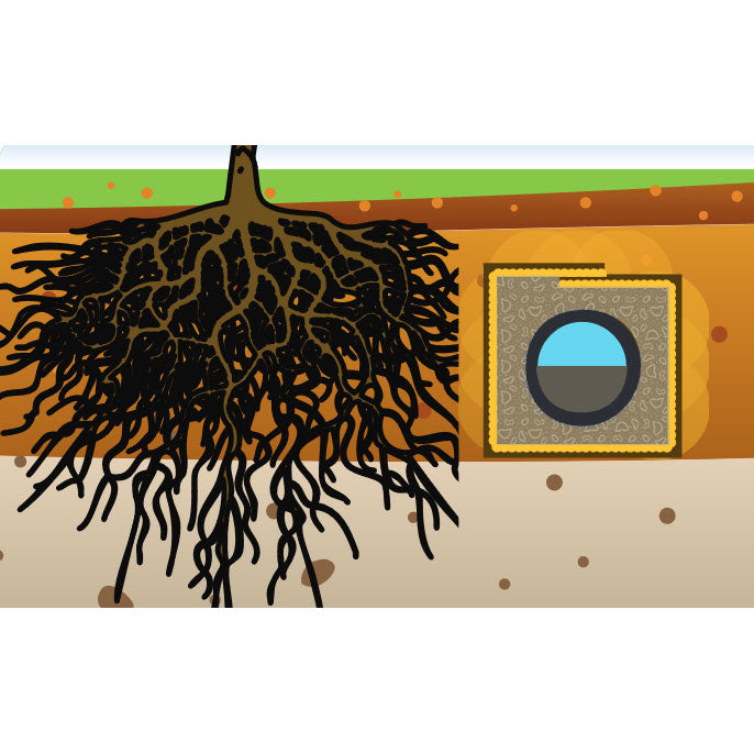 Septic Tank Root Barrier