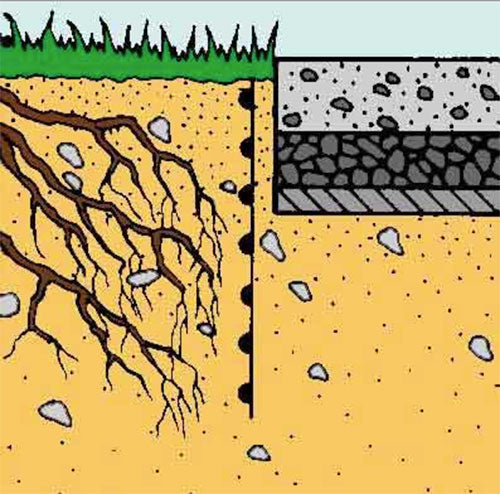 Tree Root Growth Inhibitor